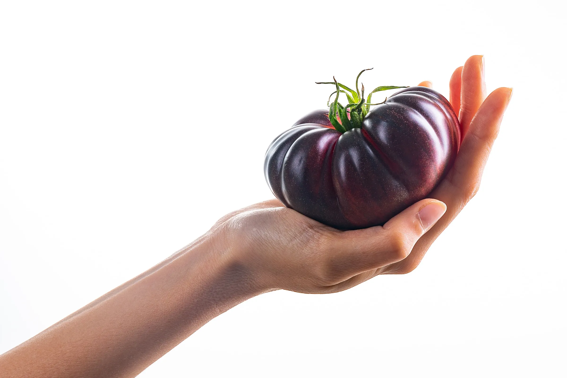 Una mano sostiene en la palma un tomate Mystika entero, fondo blanco.